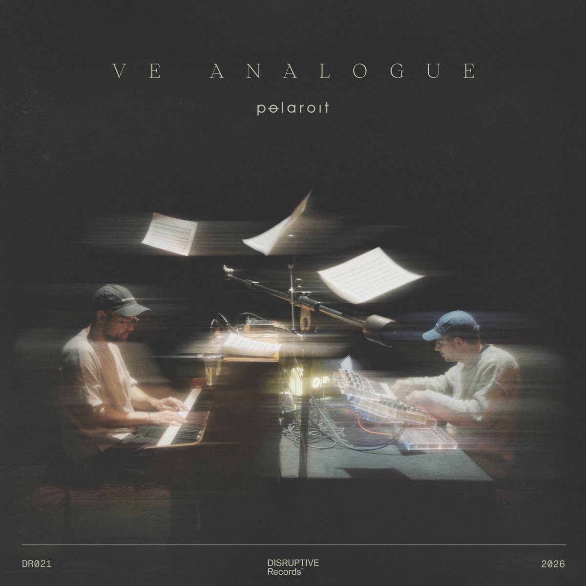 Ve Analogue, pølaroit